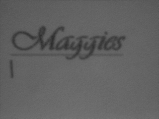 MAGGIES logo