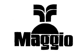 MAGGIO logo