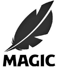 MAGIC logo