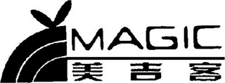 MAGIC logo