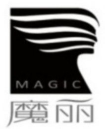 MAGIC logo