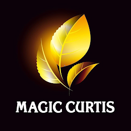 MAGIC CURTIS logo