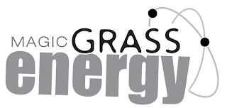 MAGIC GRASS ENERGY logo