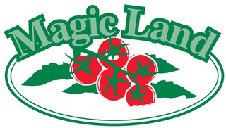 MAGIC LAND logo
