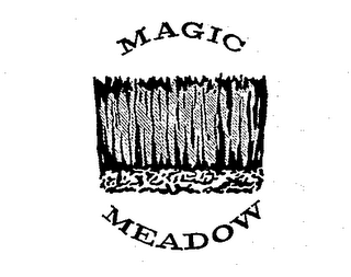 MAGIC MEADOW logo