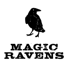 MAGIC RAVENS logo