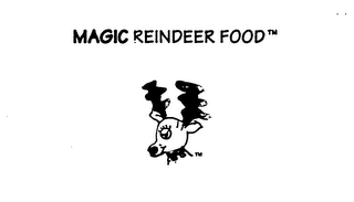 MAGIC REINDEER FOOD logo