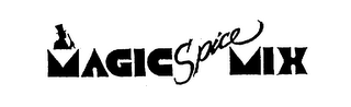 MAGIC SPICE MIX logo