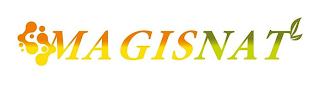 MAGISNAT logo