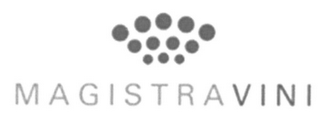 MAGISTRAVINI logo