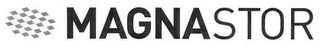MAGNASTOR logo