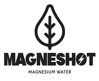 MAGNESHOT MAGNESIUM WATER logo