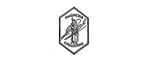 MAGNESIA S. PELLEGRINO logo
