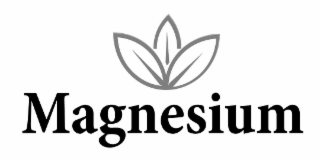 MAGNESIUM logo