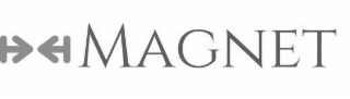 MAGNET logo
