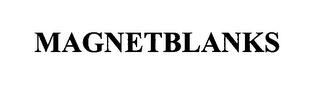 MAGNETBLANKS logo