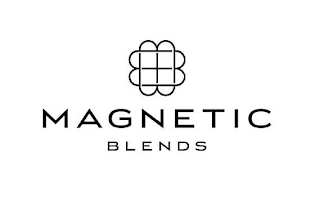 MAGNETIC BLENDS logo