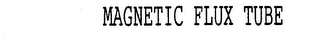 MAGNETIC FLUX TUBE logo