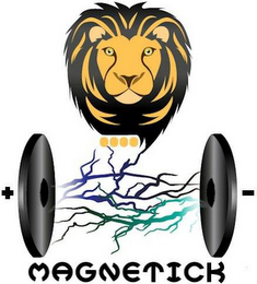 MAGNETICK logo