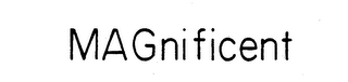 MAGNIFICENT logo