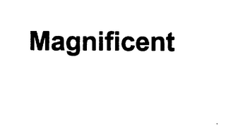 MAGNIFICENT logo
