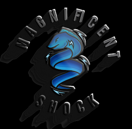 MAGNIFICENT SHOCK logo