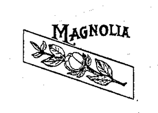 MAGNOLIA logo