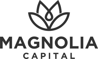 MAGNOLIA CAPITAL logo