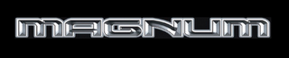 MAGNUM logo