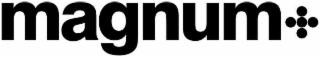MAGNUM logo