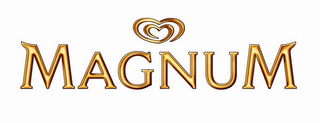 MAGNUM logo
