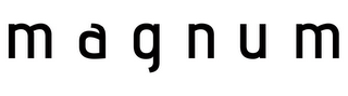 MAGNUM logo