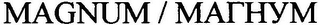 MAGNUM / MATHYM logo