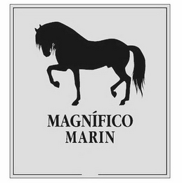 MAGNÍFICO MARIN logo