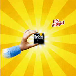 MAGPAINT IT'S MAGIC! logo