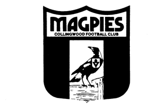 MAGPIES COLLINGWOOD FOOTBALL CLUB logo