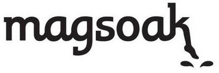 MAGSOAK logo