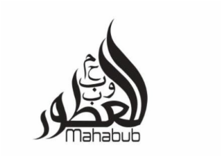 MAHABUB logo