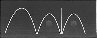 MAIA logo