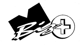 MAIL BIZ PLUS logo