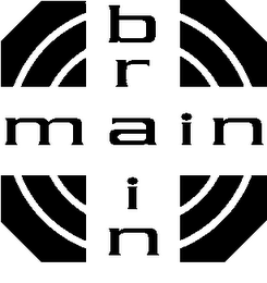 MAIN BRAIN logo