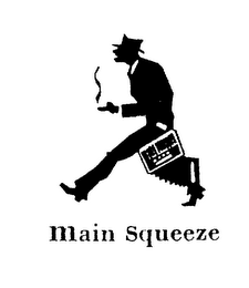 MAIN SQUEEZE logo
