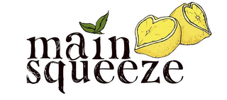 MAIN SQUEEZE logo