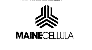 MAINE CELLULAR logo