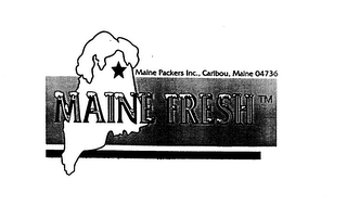 MAINE FROZEN logo