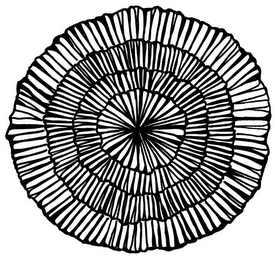 MAINE KOMBUCHA COMPANY logo