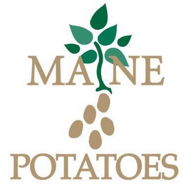 MAINE POTATOES logo