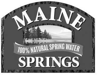 MAINE SPRINGS 100% NATURAL SPRING WATER logo