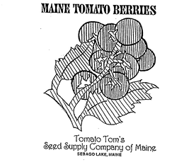 MAINE TOMATO BERRIES TOMATO TOM'S SEED SUPPLY COMPANY OF MAINE SEBAGO LAKE, MAINE logo