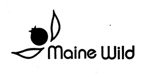 MAINE WILD logo